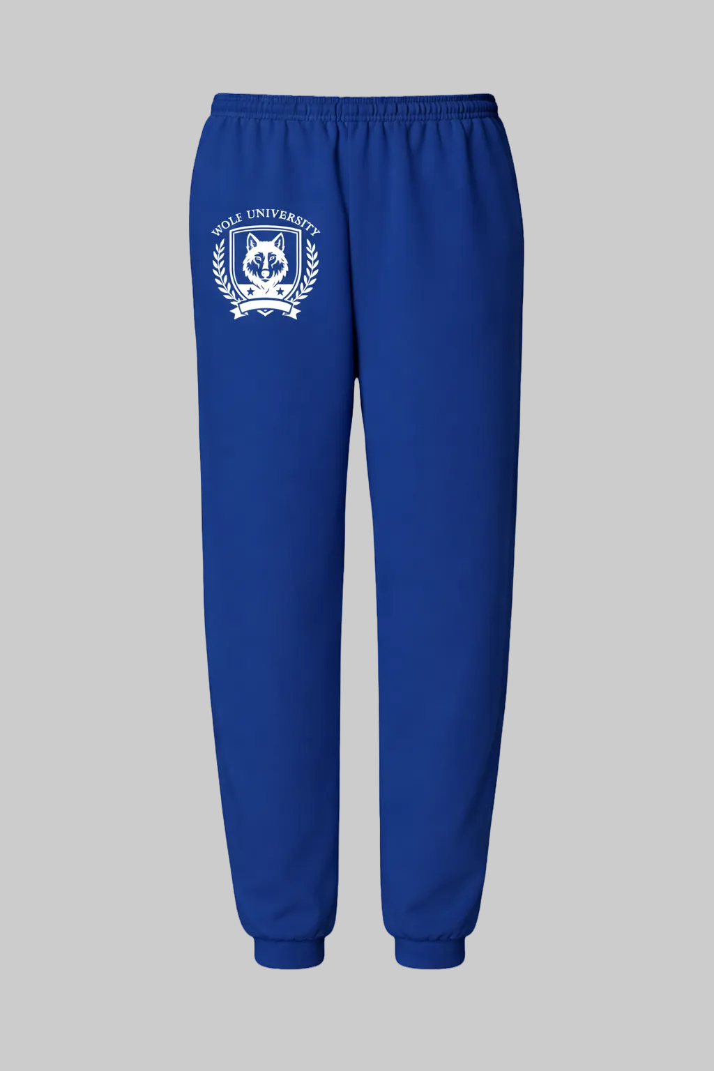 Blue sweatpants with a white logo on a white background